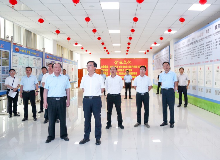 Building A New Hub For Global Trade! China Coal Group Debuts At The Global Construction Machinery Cross-Border E-Commerce Distribution Center